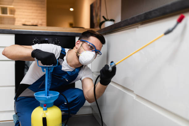 Best Local Pest Control Services  in East Troy, WI