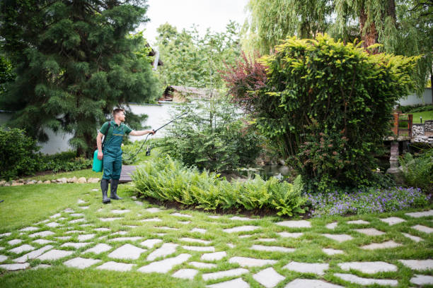 Best Pest Control Near Me  in East Troy, WI