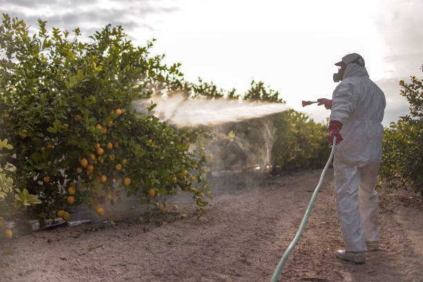 Pest Prevention Services in East Troy, WI