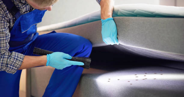 Best Pest Removal Services  in East Troy, WI