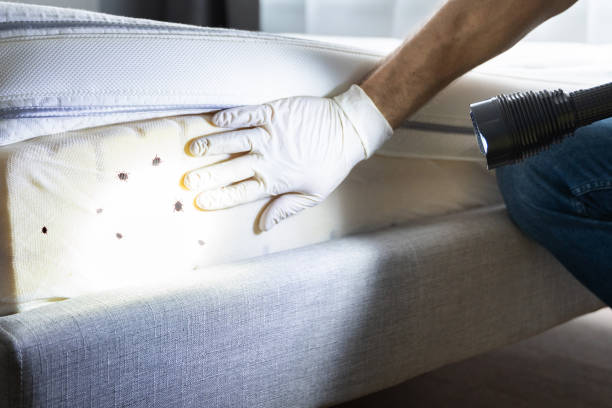 Best Affordable Pest Control Services  in East Troy, WI