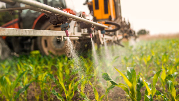 Best Ant Control Services  in East Troy, WI