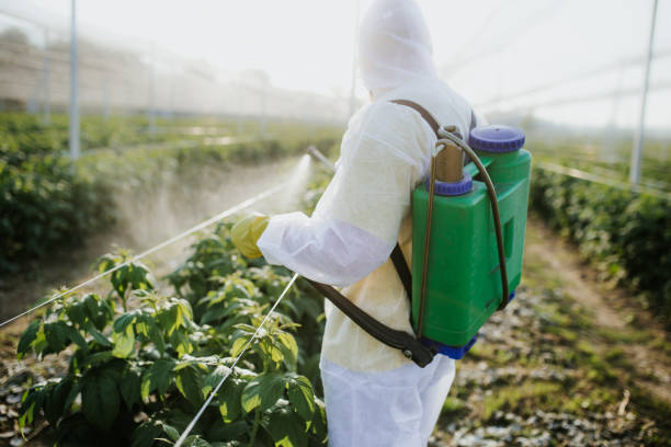 Best Best Pest Control Companies  in East Troy, WI